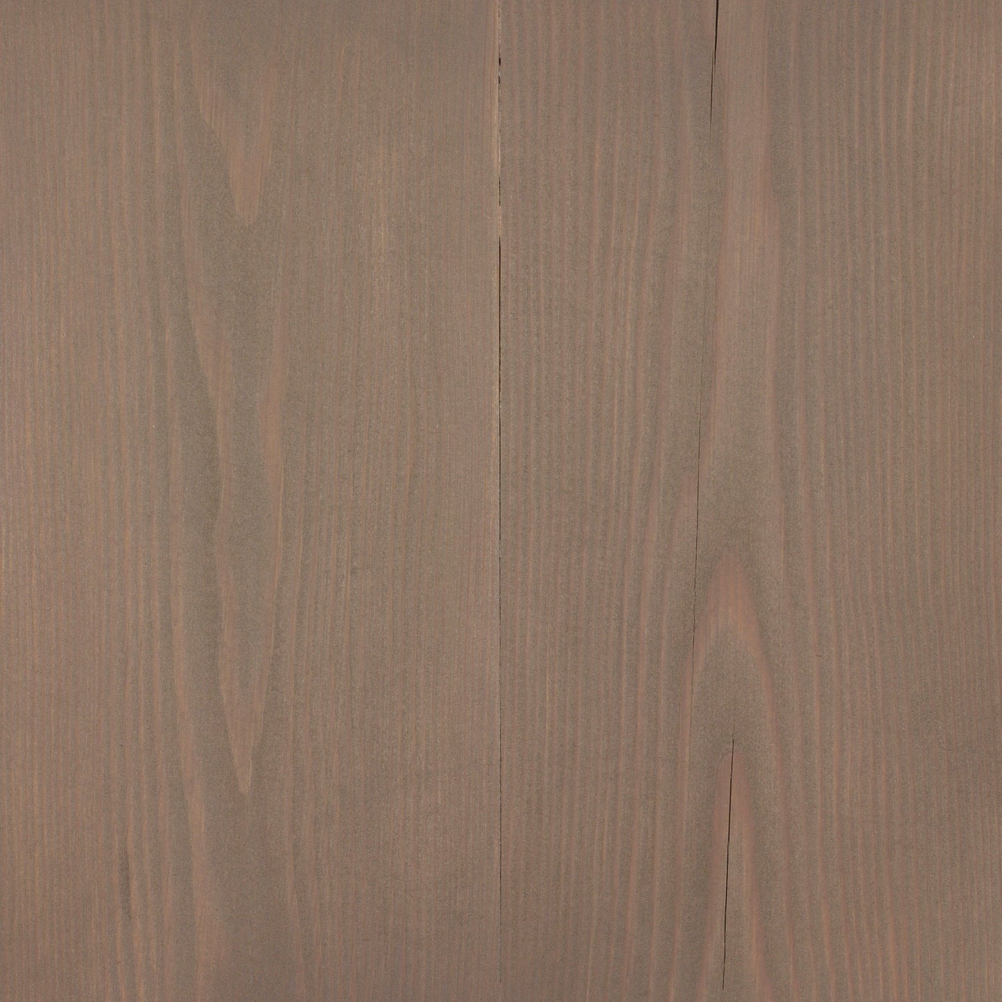 Larch
