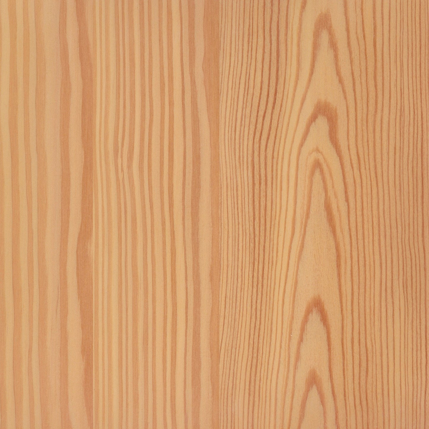 Larch