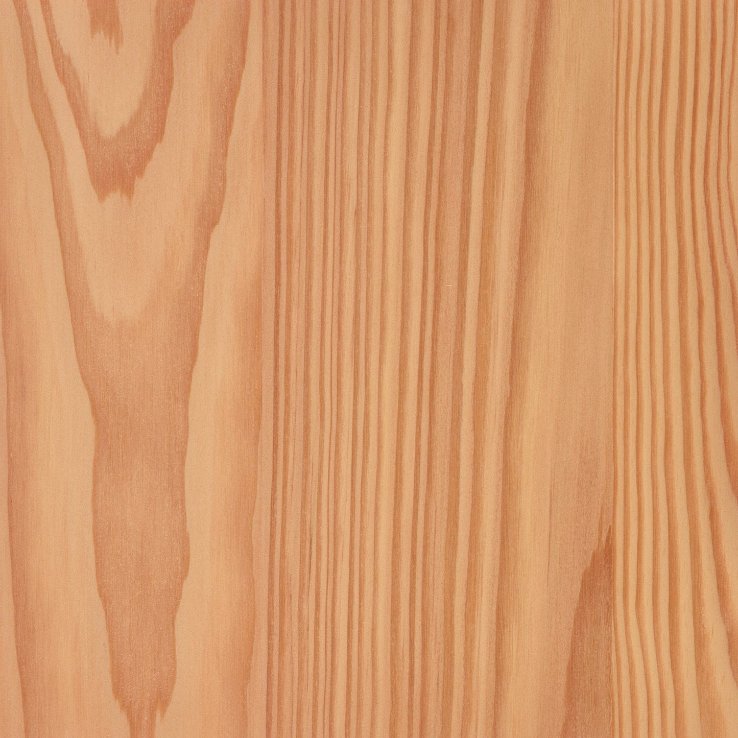 Larch