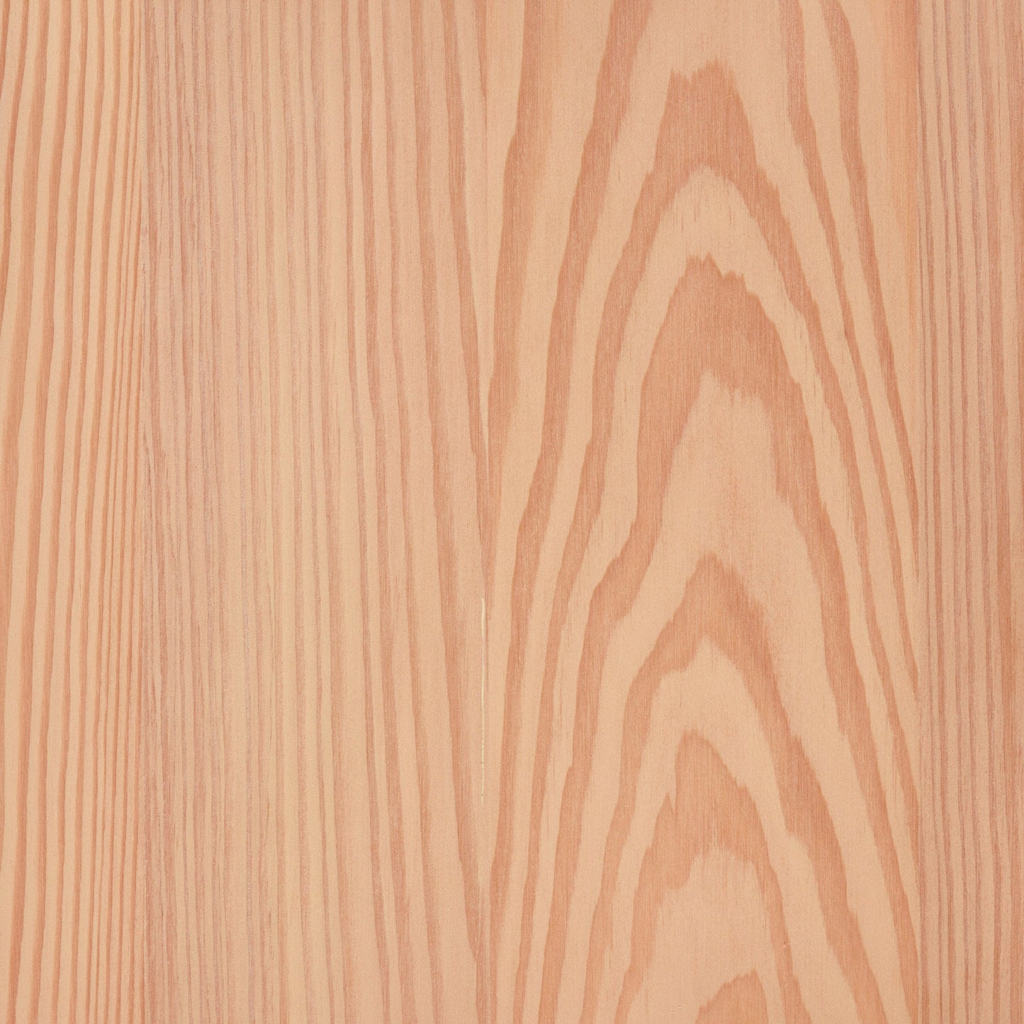 Larch