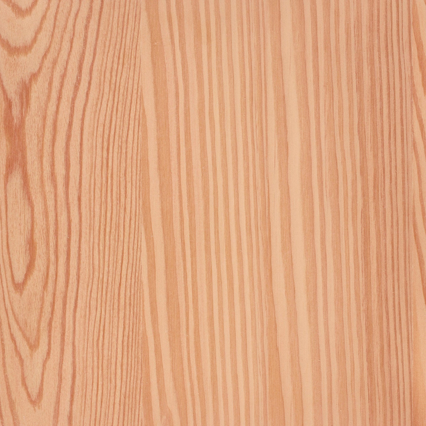 Larch