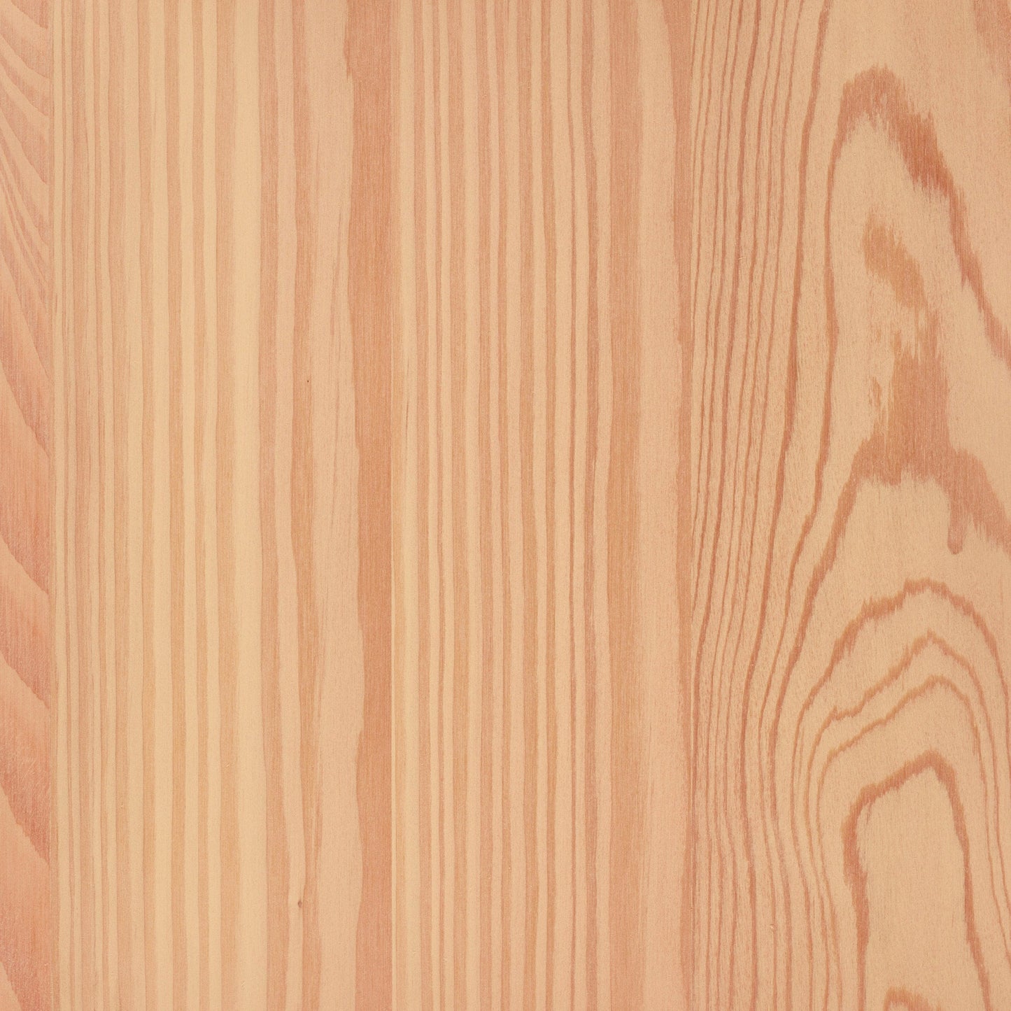 Larch