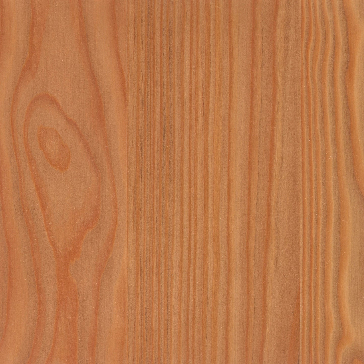 Larch